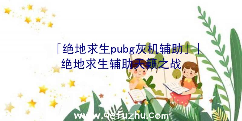 「绝地求生pubg灰机辅助」|绝地求生辅助天籁之战